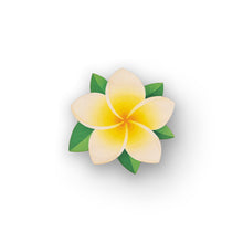 Load image into Gallery viewer, FLOWER COASTER SET