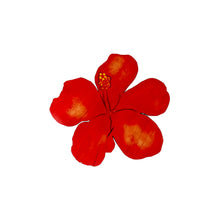 Load image into Gallery viewer, HIBISCUS WATERCOLOR TRIVET
