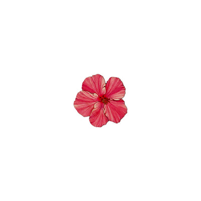 LBL-CW PINK HIBISCUS