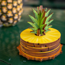 Load image into Gallery viewer, PINEAPPLE COASTER SET
