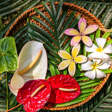 Load image into Gallery viewer, PINK PLUMERIA 3D ORNAMENT
