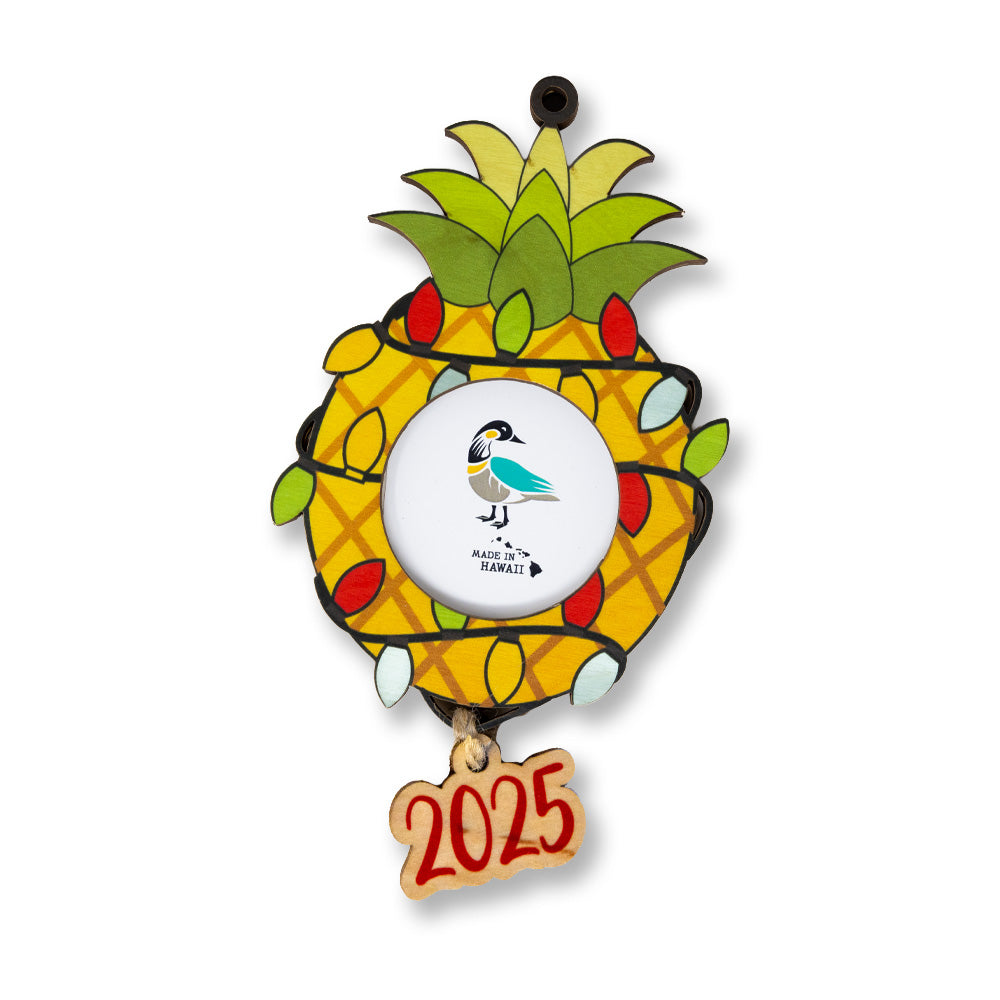 PINEAPPLE LIGHTS 2025 FRAME ORNAMENT