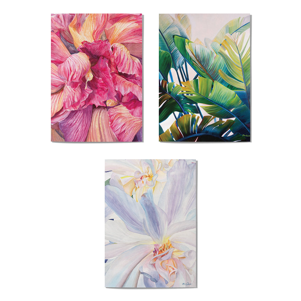 PAINTED PARADISE CARD SET - 6 COUNT