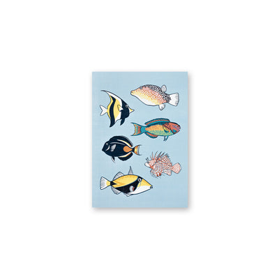 MOORE ALOHA ISLAND FISH 5X7 CARD