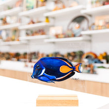 Load image into Gallery viewer, TANG FISH ACRYLIC ART
