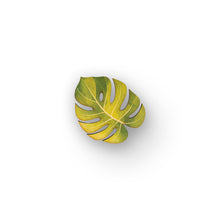 Load image into Gallery viewer, MONSTERA COASTER SET
