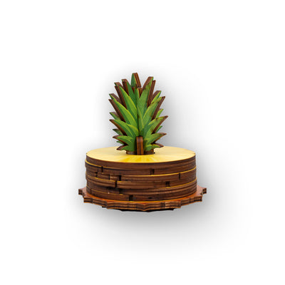 PINEAPPLE COASTER SET