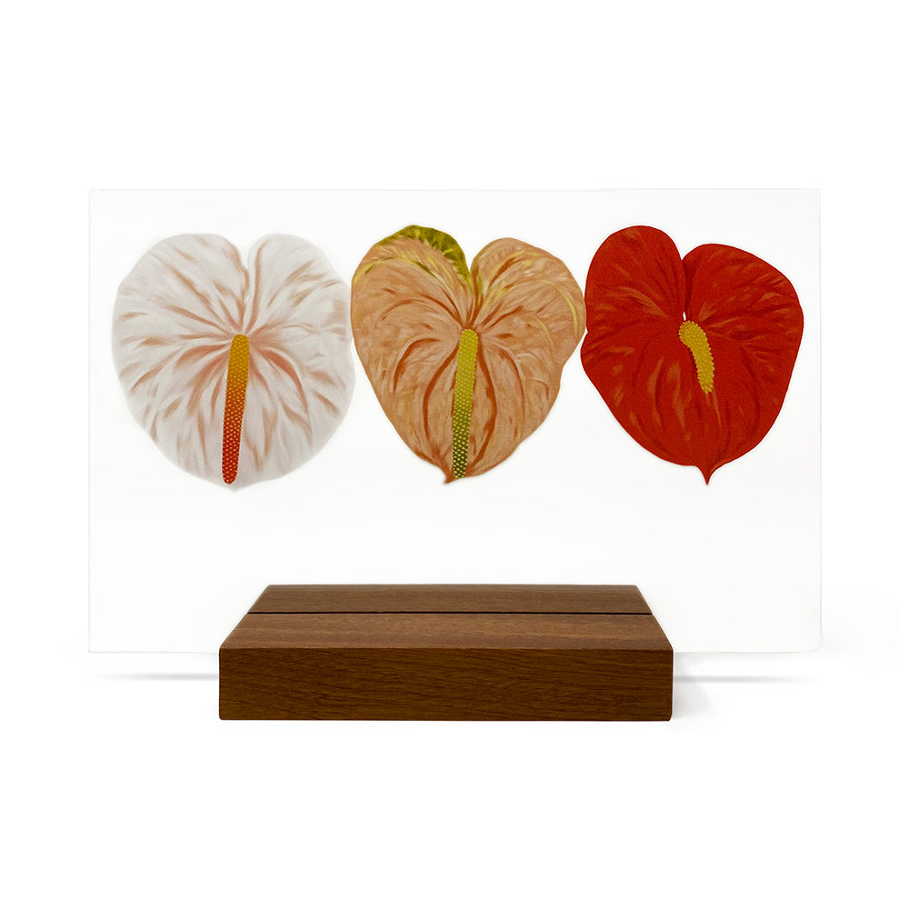 ANTHURIUM TRIO ACRYLIC ART