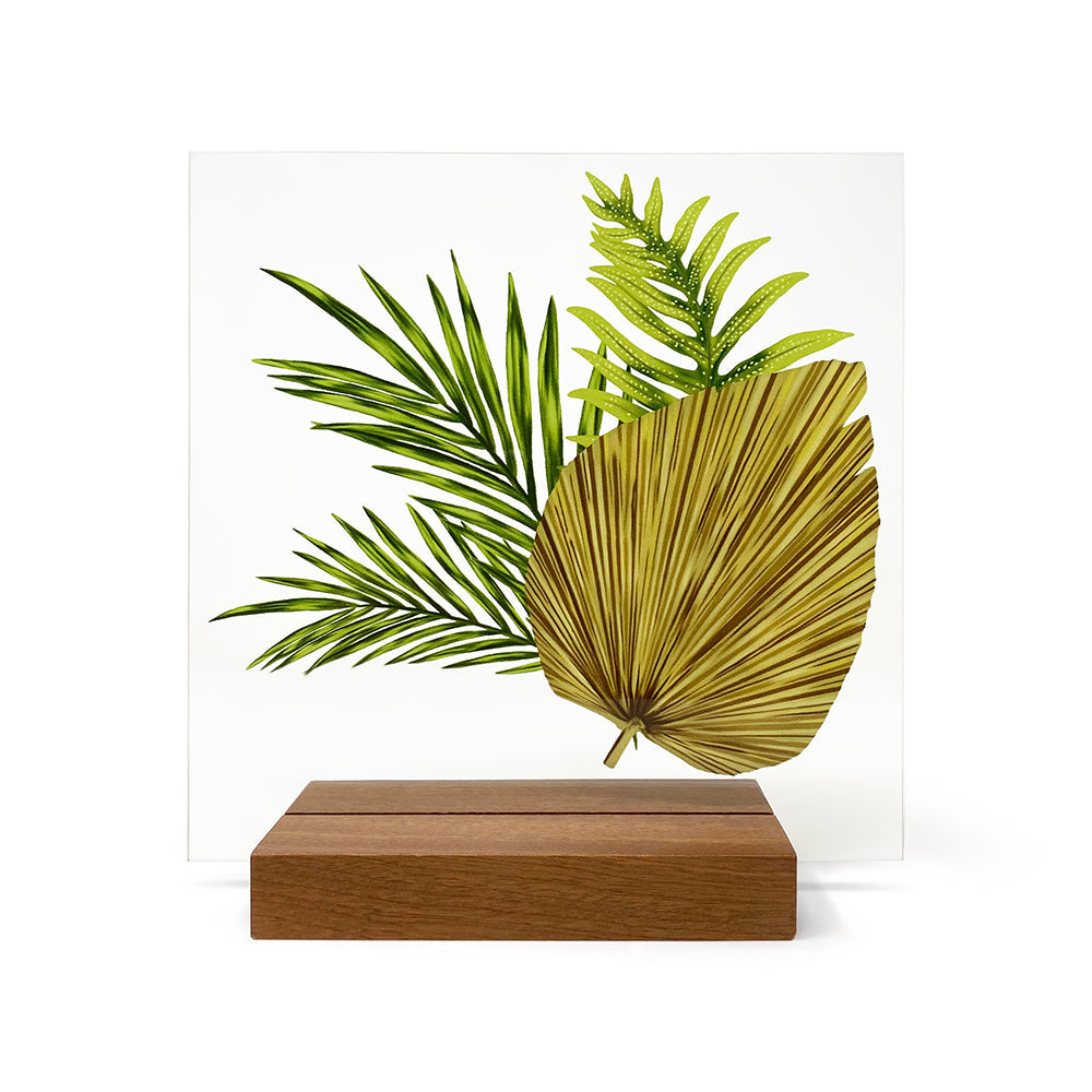 DRIED FAN PALM ACRYLIC ART