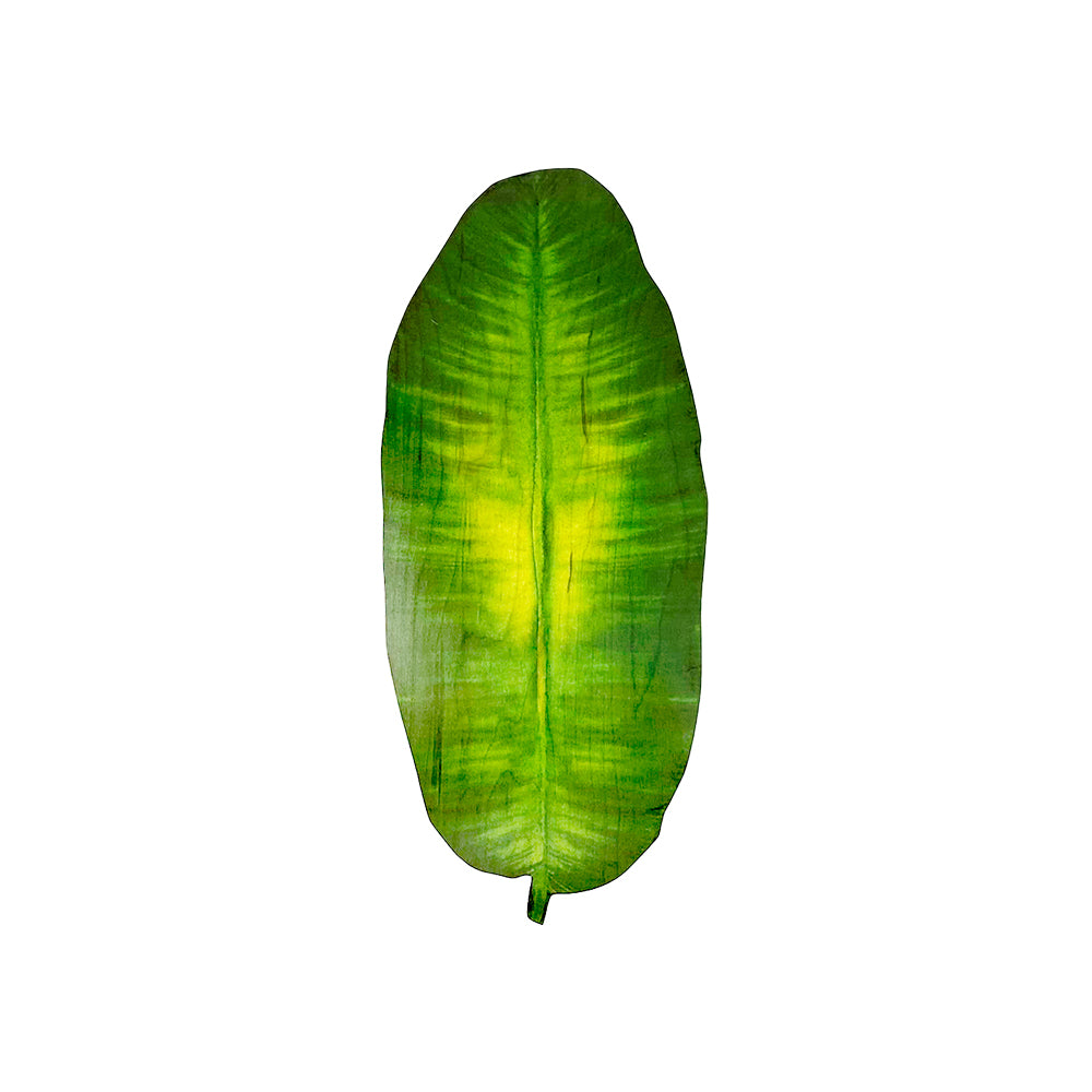 BANANA LEAF WATERCOLOR TRIVET