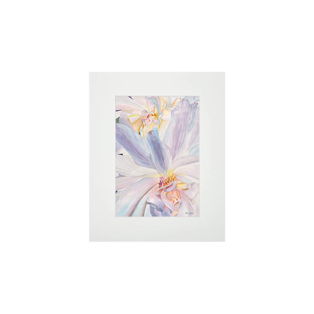 WALL FLOWER MATTED PRINT