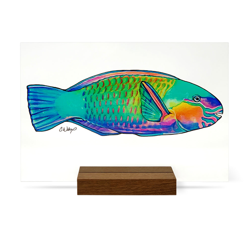PARROT FISH ACRYLIC ART